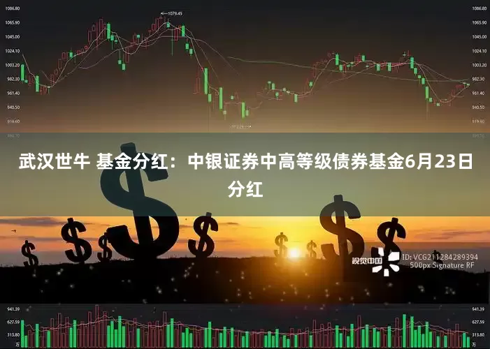 武汉世牛 基金分红：中银证券中高等级债券基金6月23日分红
