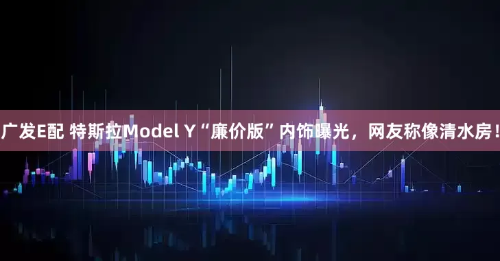 广发E配 特斯拉Model Y“廉价版”内饰曝光，网友称像清水房！
