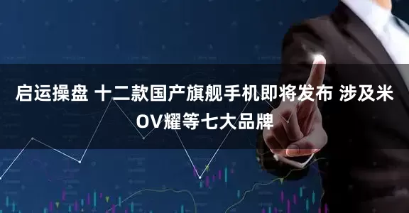 启运操盘 十二款国产旗舰手机即将发布 涉及米OV耀等七大品牌