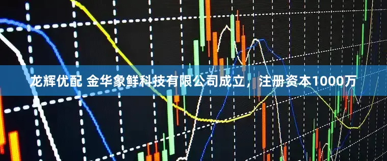 龙辉优配 金华象鲜科技有限公司成立，注册资本1000万