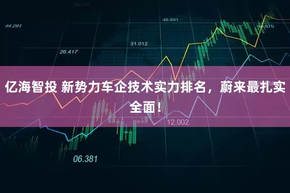 亿海智投 新势力车企技术实力排名，蔚来最扎实全面！